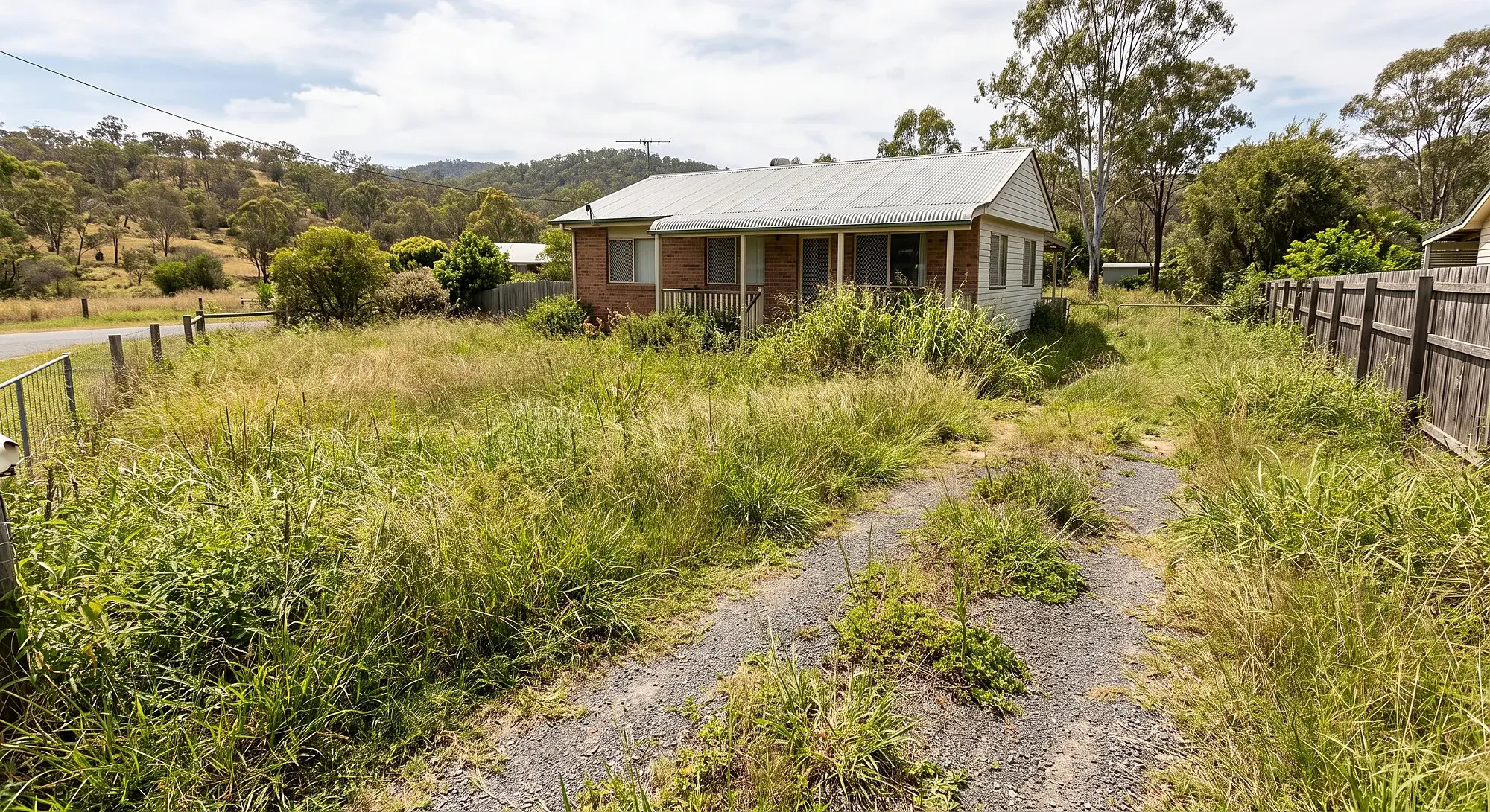 A Fernvale-area block before mowing, with tall overgrown grass across the yard